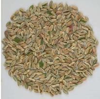 Whole Shelled Pistachio - Perfect Green Origin, Turkey