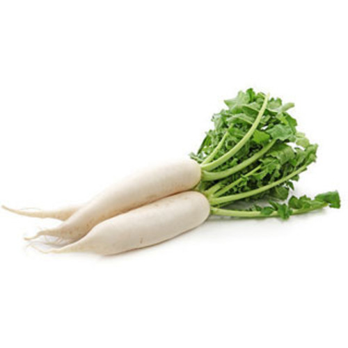 Packaged radish bunch