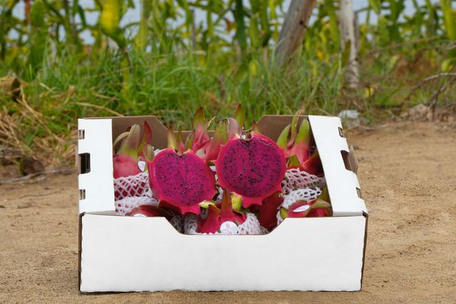 Dragonfruit with Honey