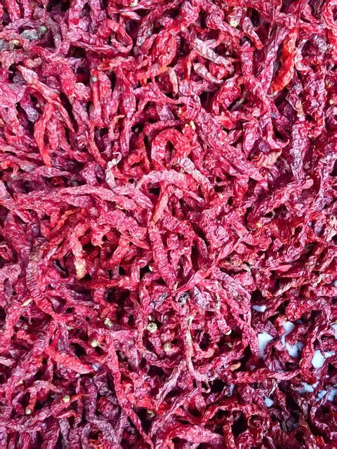 Xi'an Dry Red Chili Pepper Stemless