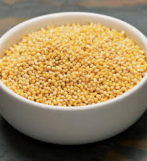 Yellow Millet in Storage