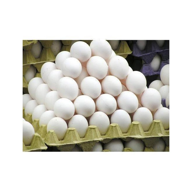 High-Quality White Table Egg