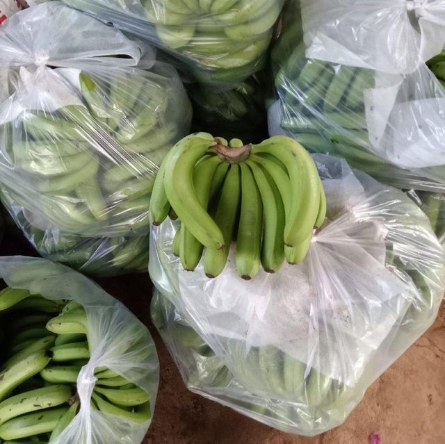 Green Cavendish Banana