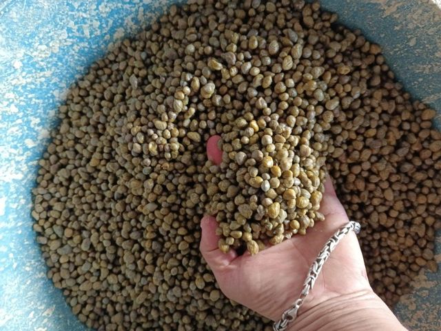 Capers in a wooden box