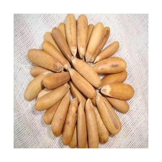 Organic Pine Nuts Image 3
