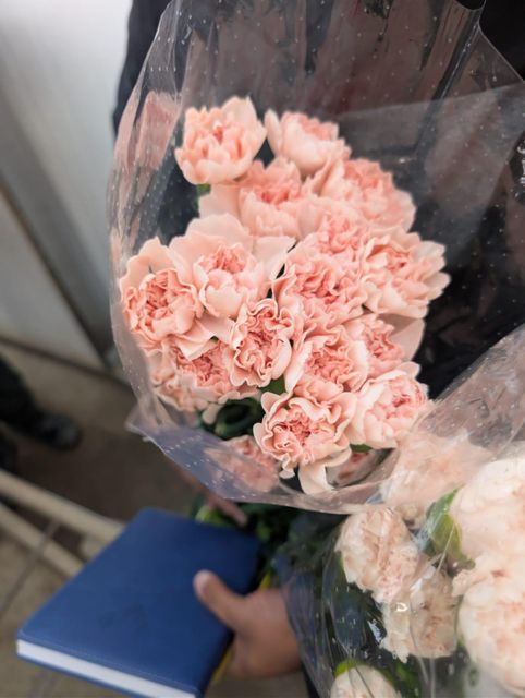 Select Fancy Carnation Arrangement