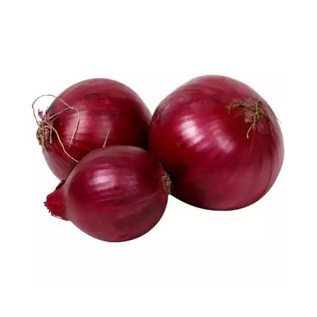 Fresh Red Onion