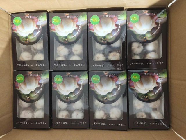 Frozen Mangosteen 2