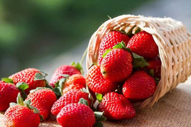 Da Lat Vietnamese Strawberry