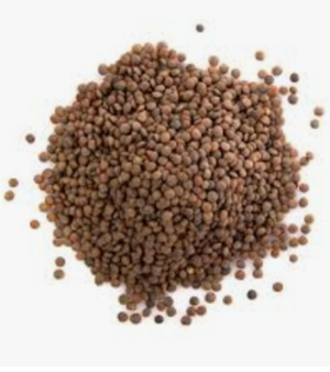 Natural Green Mung Beans – Organic and Unprocessed