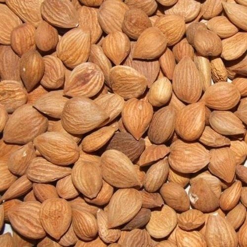 Bulk Apricot Kernels