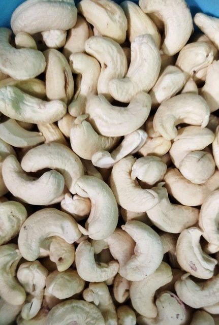 Raw Macadamia Nuts