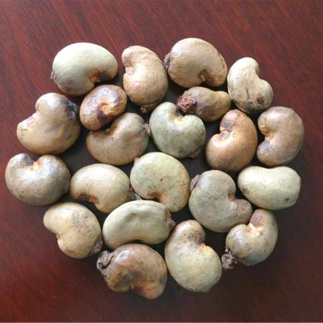 Natural cashew kernel display