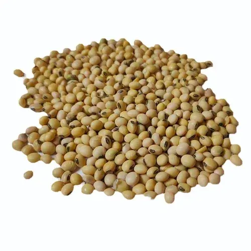 Soybeans Image 3