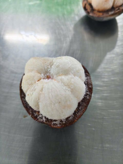 Frozen Mangosteen 4