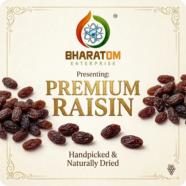 Premium Raisin Product Image 2