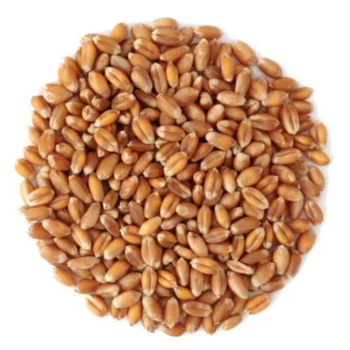 Premium Hard Red Spring Wheat Flour