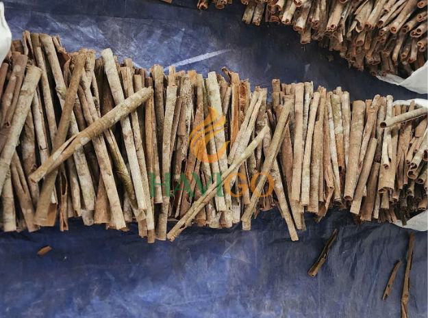 Cassia Cinnamon Image 5