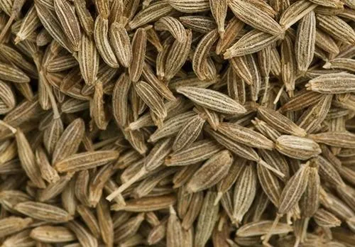 Cumin Seeds Display