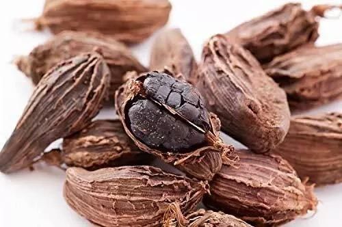 Handpicked Green Elaichi Pods