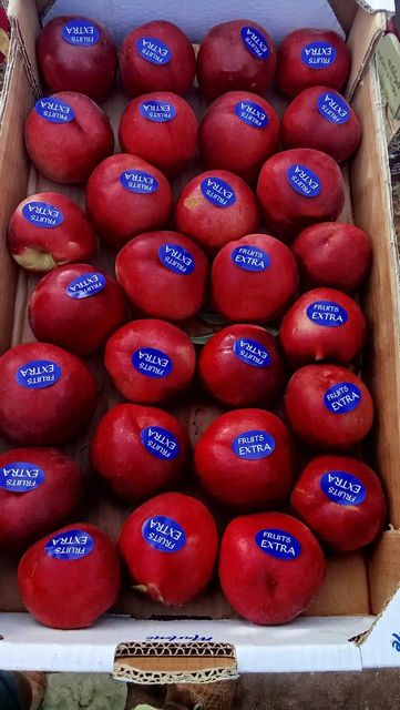 Fresh ripe peaches displayed