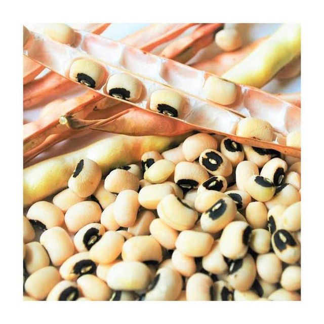 Bulk Black Eyed Peas Beans