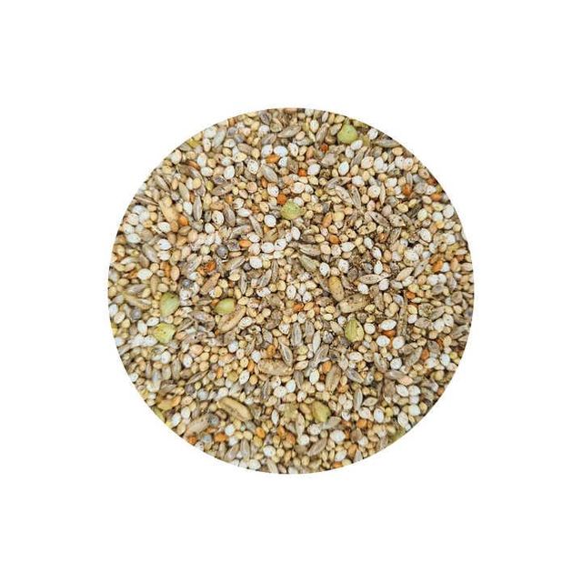 Clean, nutrient-rich canary seeds for pet birds