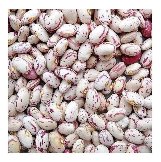 Pinto Beans with Packaging Details