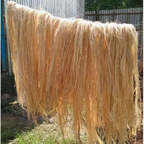 Banana Fiber Product 1
