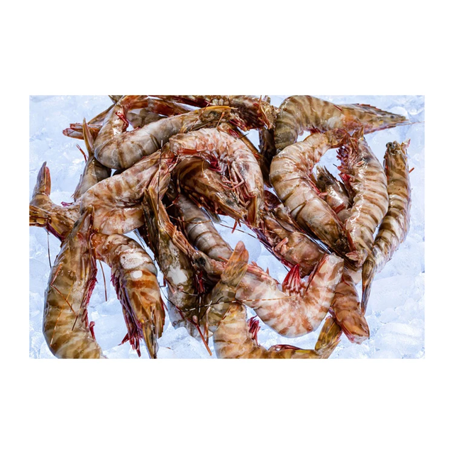 Premium Frozen Tiger Prawn – Large Box