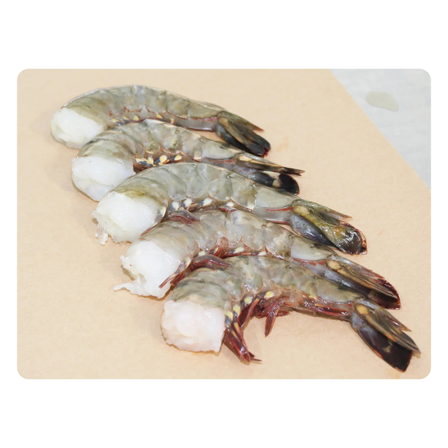 Giant Tiger Prawn