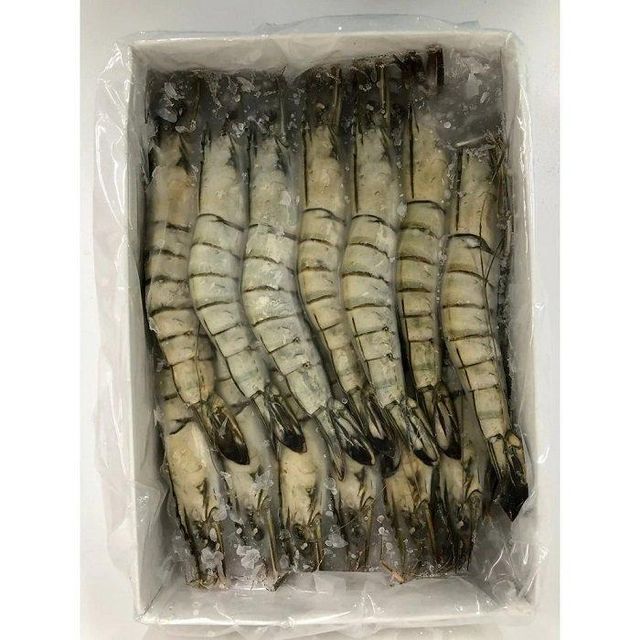 Frozen Black Tiger Shrimp - BQF Freezing Process