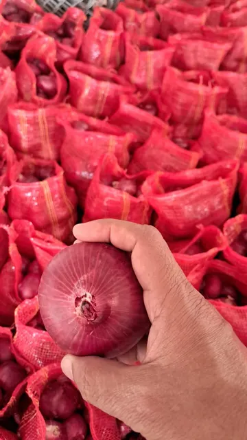 Nasik Indian Onions