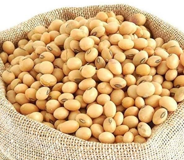Soya Bean Product