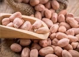Groundnut Kernels Image 1