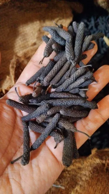 Black Long Pepper - product image 2