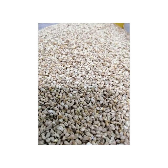 Canary seed in export quality packaging