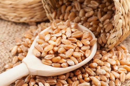 Hard Red Spring Wheat Semolina