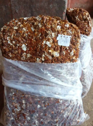 Tamarind Image 2