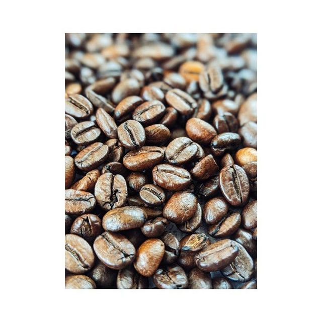 Robusta Coffee Beans - Fresh Harvest