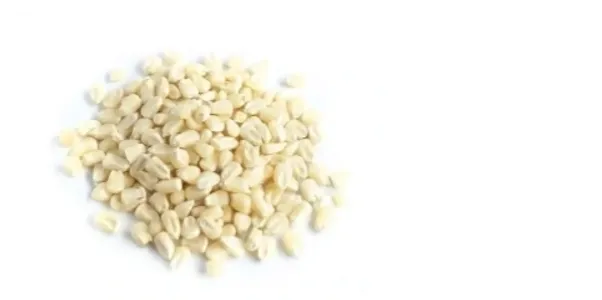 White Corn