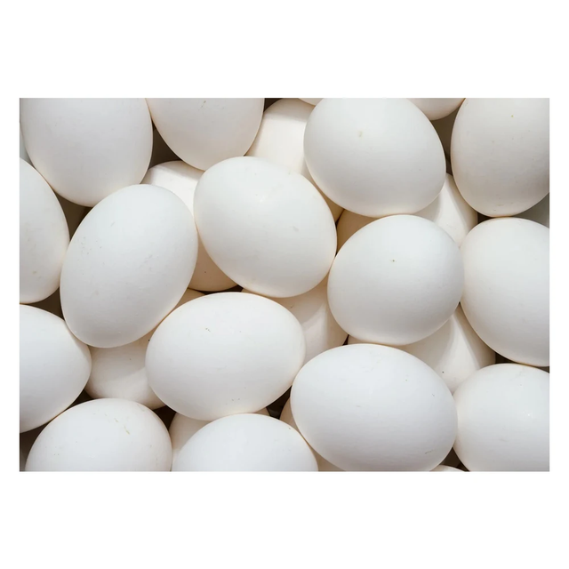 SABA Grade A Egg – Fresh & Crisp