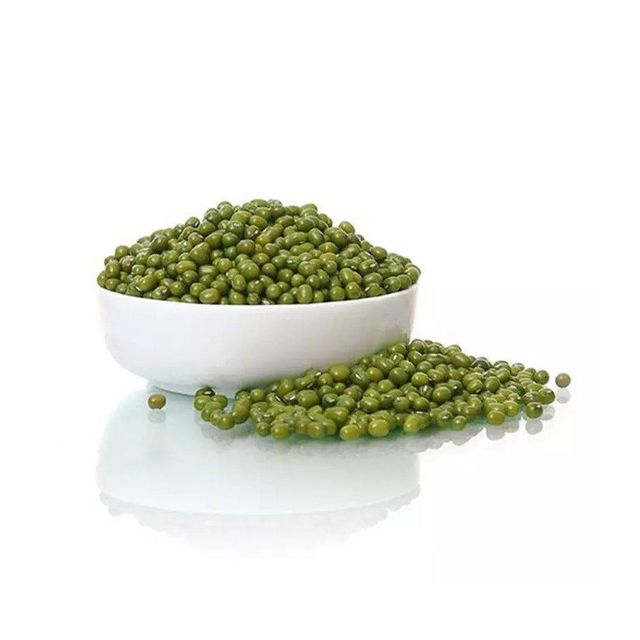 Sprouting Mung Bean Seeds - Myanmar Origin