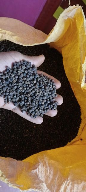 Organic Black Pepper
