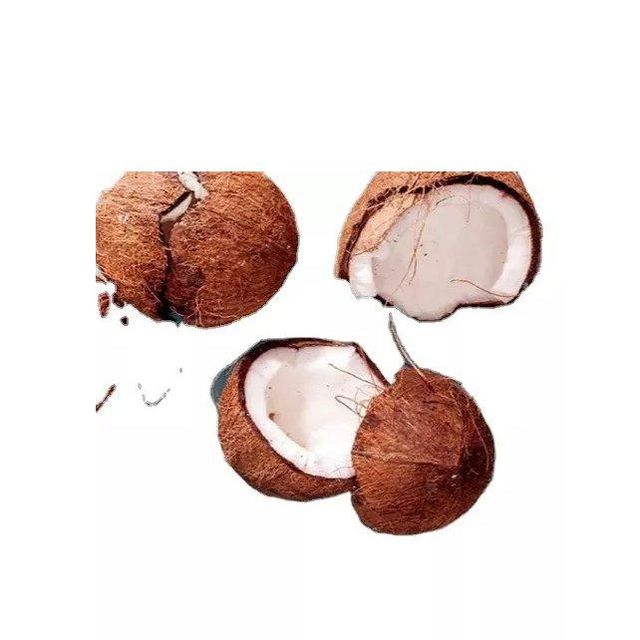 Coconut Fresh Premium Product