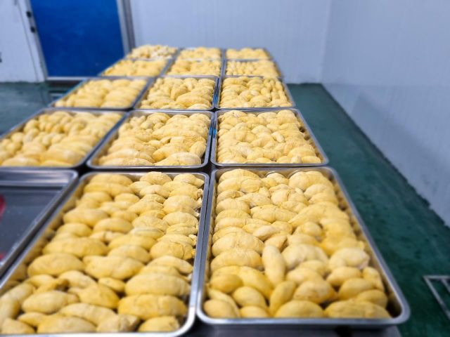 Frozen Durian 2