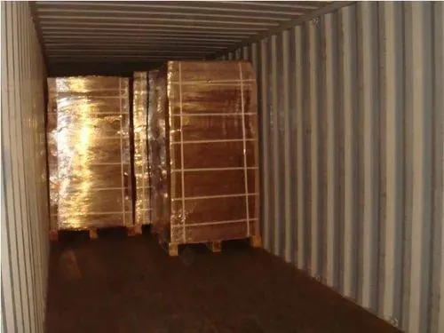 Cocopeat Block High EC out of packaging