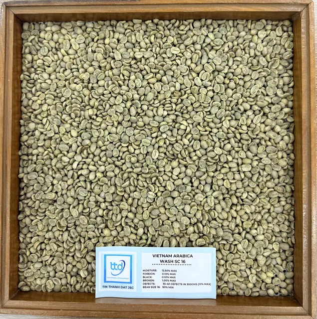 Vietnam Arabica Coffee Beans Close-up 2