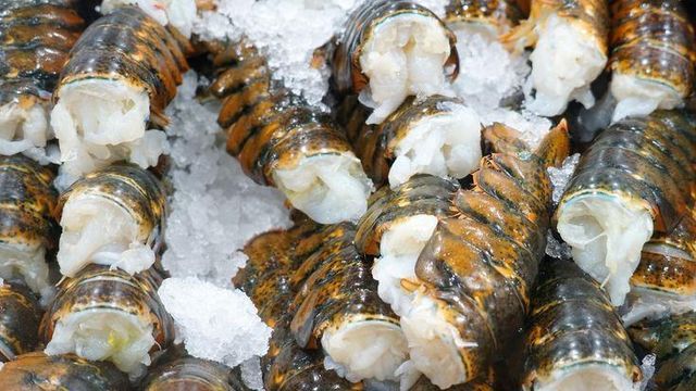 Spicy Freshwater Frozen Lobster Tails, Whole Crawfish, Semi-IQF Processing Vacuum Pack