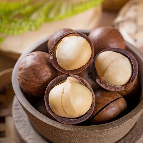 Premium Raw Macadamia Nuts 5